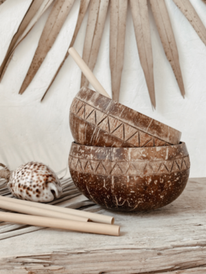 Kokosbowl Boho