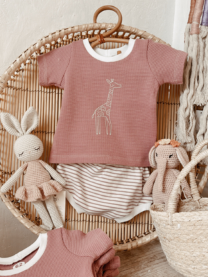 Set Little Giraffe