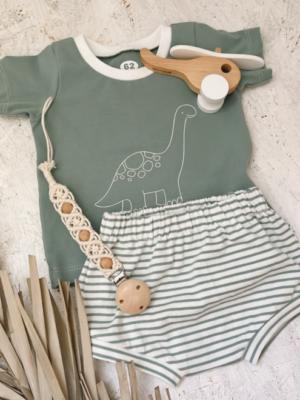 Set Little Dino